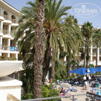 фото из отзыва ID 420687