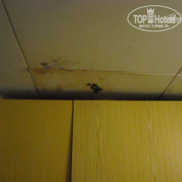 фото из отзыва ID 421262