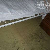 фото из отзыва ID 421436