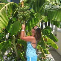 фото из отзыва ID 421181