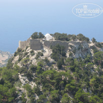 фото из отзыва ID 421181