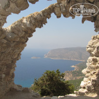 фото из отзыва ID 421181