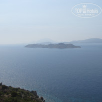 фото из отзыва ID 421181