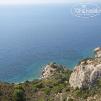 фото из отзыва ID 421181