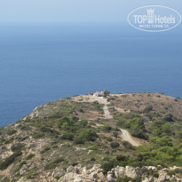 фото из отзыва ID 421181