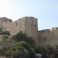 фото из отзыва ID 421181