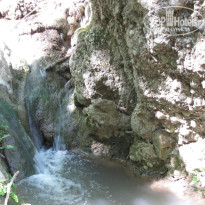 фото из отзыва ID 421181