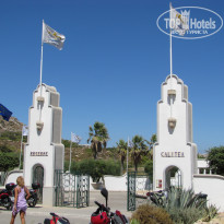 фото из отзыва ID 421181