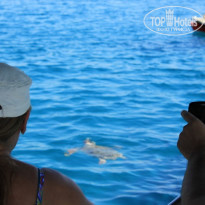 фото из отзыва ID 421837