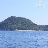 фото из отзыва ID 421837