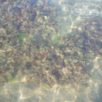 фото из отзыва ID 42216