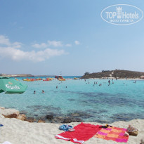 фото из отзыва ID 422239