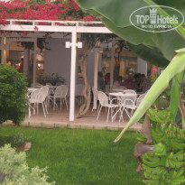 фото из отзыва ID 422341