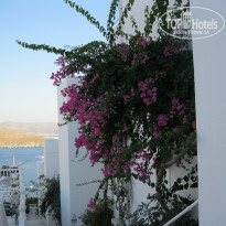 фото из отзыва ID 422415