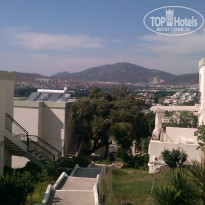 фото из отзыва ID 422701