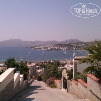 фото из отзыва ID 422701