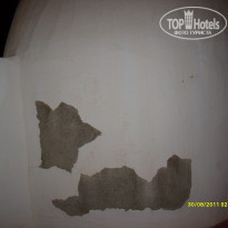 фото из отзыва ID 422741