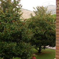 фото из отзыва ID 423563