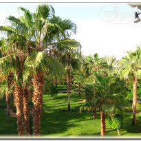 фото из отзыва ID 423692