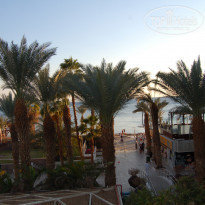 фото из отзыва ID 423836