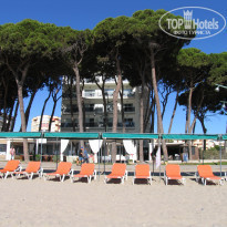 фото из отзыва ID 423969