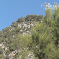 фото из отзыва ID 424120