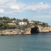 фото из отзыва ID 424120