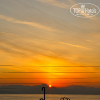 фото из отзыва ID 424375