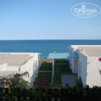 фото из отзыва ID 424476