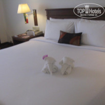 фото из отзыва ID 424844