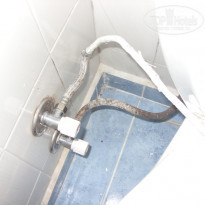 фото из отзыва ID 424904