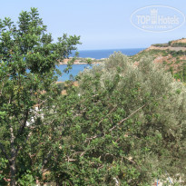 фото из отзыва ID 425101