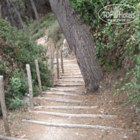 фото из отзыва ID 425614