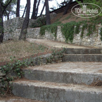 фото из отзыва ID 425614