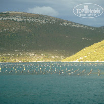 фото из отзыва ID 425981