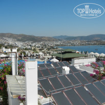 фото из отзыва ID 425983