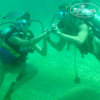 фото из отзыва ID 425995