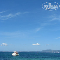 фото из отзыва ID 425862