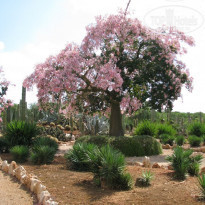 фото из отзыва ID 425862