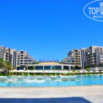 фото из отзыва ID 426051