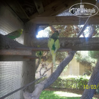 фото из отзыва ID 426060