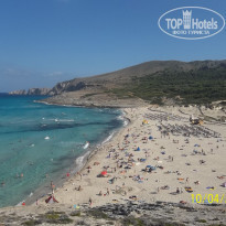 фото из отзыва ID 426060