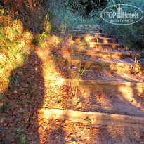 фото из отзыва ID 426107