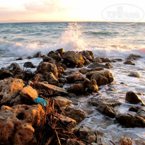 фото из отзыва ID 426107