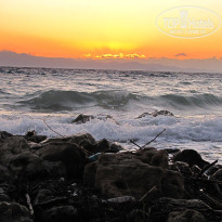 фото из отзыва ID 426107