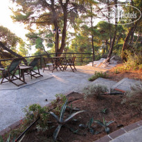 фото из отзыва ID 426107