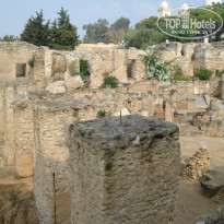 фото из отзыва ID 426428