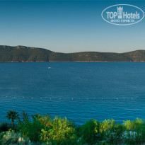 фото из отзыва ID 426459