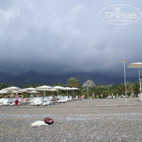 фото из отзыва ID 427368