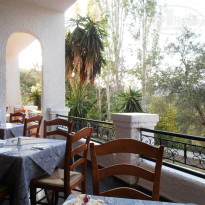 фото из отзыва ID 427611